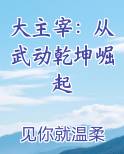 大主宰：从武动乾坤崛起