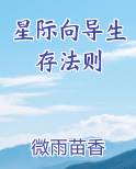 星际向导文推荐