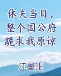 休夫当日，整个国公府跪求我原谅免费听书