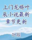 上门龙婿叶辰萧初然