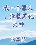我一个罪人，拯救黑化大神