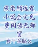宋染的小说