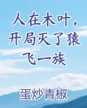 人在木叶，开局灭了猿飞一族最新章节免费阅读