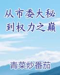 从市委大秘到权力之巅完整版小说
