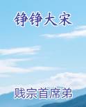 铮铮大宋
