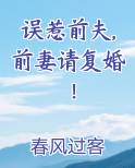 误惹前夫,前妻请复婚！