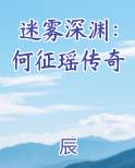 迷雾深渊：何征瑶传奇小说下载