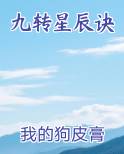九转星辰诀