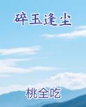 碎玉逢尘