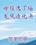 徐俊逸丁瑶龙凤造化决