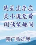 男主角叫楚星的小说