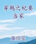 穿越之妃要当家