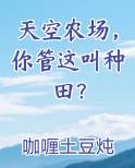 天空农场,你管这叫种田? 小说