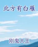 北方有白雁