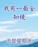 我有一面诸天镜txt
