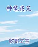 神笔夜叉最新章节