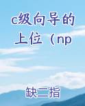 c级向导的上位（np