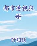 都市透视狂婿