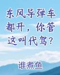 东风导弹车都开,你管这叫代驾?TXT下载