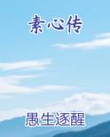素心传