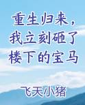 重生归来，我立刻砸了楼下的宝马小说5200